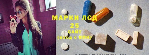 мдпв Елабуга