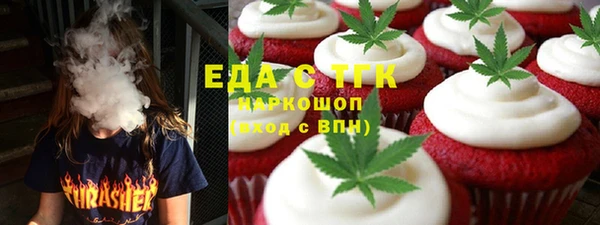 стаф Ельня