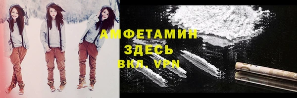 мдпв Елабуга
