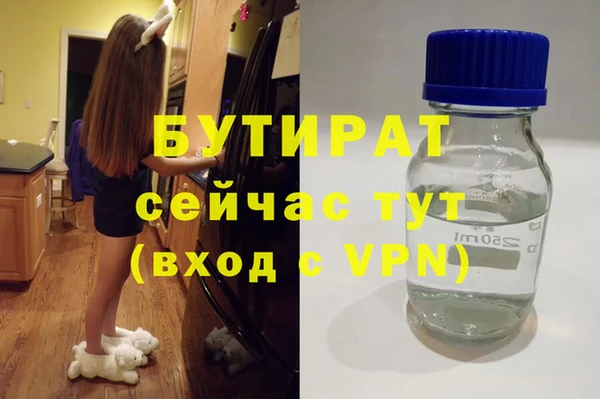 стаф Ельня
