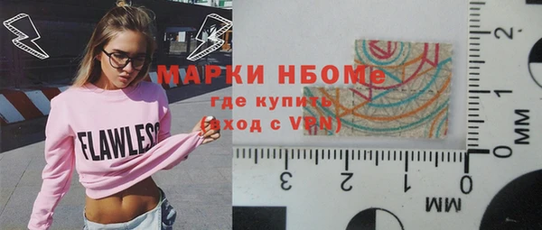 мдпв Елабуга