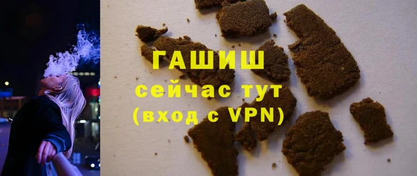 стаф Ельня