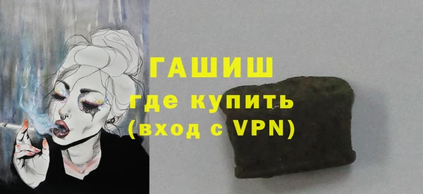 стаф Ельня