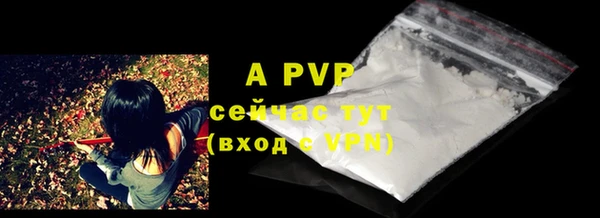 стаф Ельня