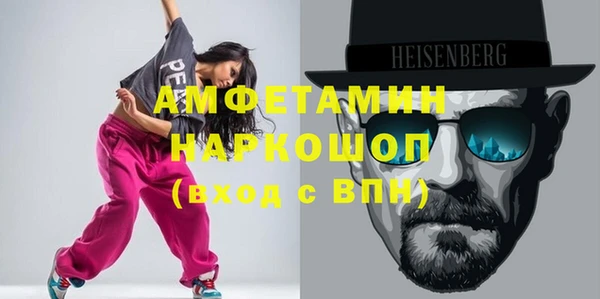 стаф Ельня