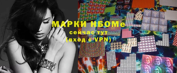 мдпв Елабуга