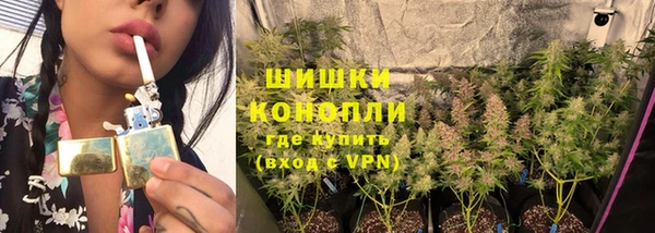 стаф Ельня