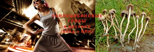 мдпв Елабуга