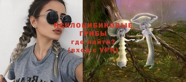 мдпв Елабуга