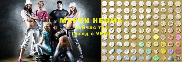стаф Ельня