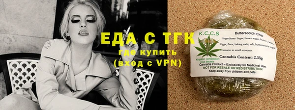 стаф Ельня