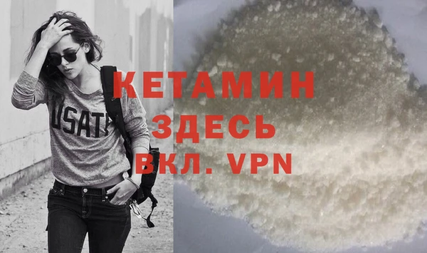 стаф Ельня