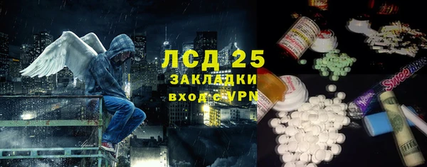 стаф Ельня