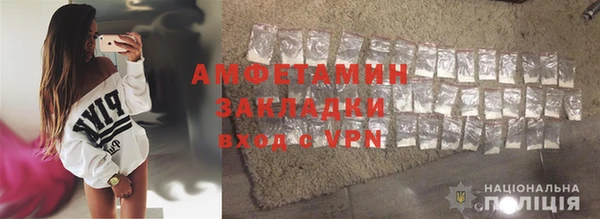 стаф Ельня