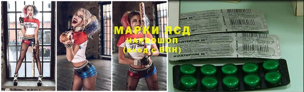 мдпв Елабуга