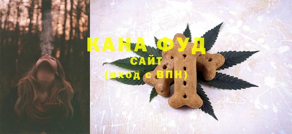 стаф Ельня