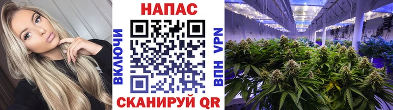 Канабис MAZAR  наркотики  Гаврилов-Ям 